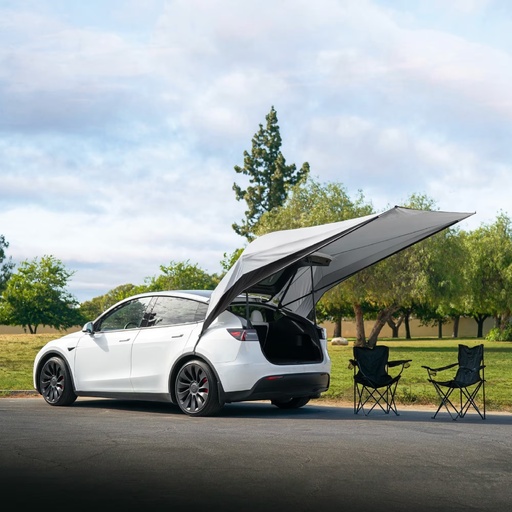 Model Y Canopy